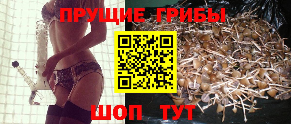 Псилоцибиновые грибы ЛСД  Вход с VPN  Элиста 