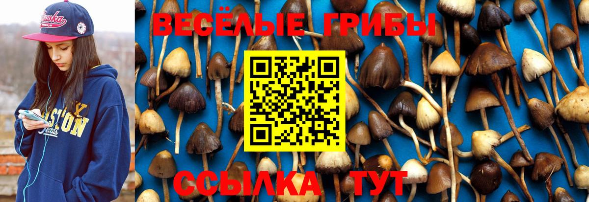 Псилоцибиновые грибы MAGIC MUSHROOMS Элиста